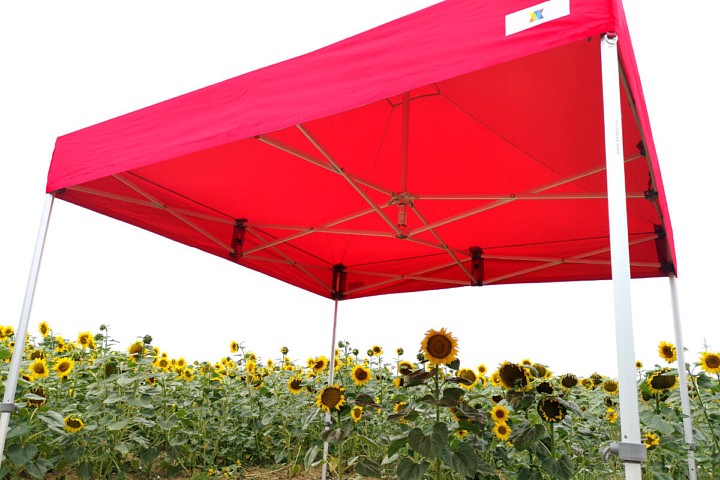 Tenda promozionale 3m*6m