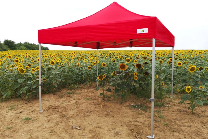 Tenda pubblicitaria in vendita 3m*6m